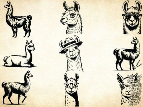 Llama Svg Bundle, Floral Animal Svg Review